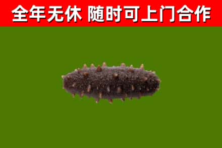 莱芜烟酒回收干海参.jpg